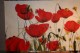 Ausstellung 'Momente' 2018: Mohn, gro