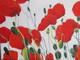 Ausstellung 'Lichtblicke' 2019: Mohn, gro�