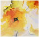 Galerie 8: Herbstfarben